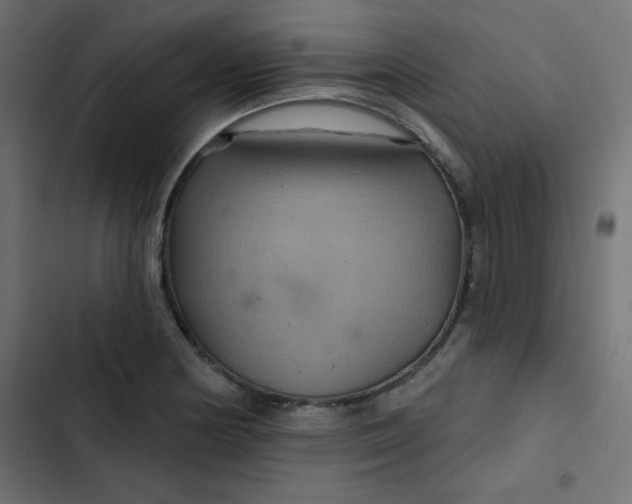 X0000103321178200809261129