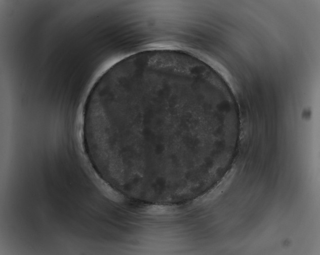 X0000103321179200809261129