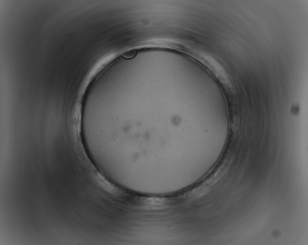 X0000103321180200809261129