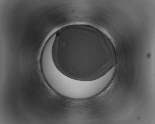 X0000103321181200809261129