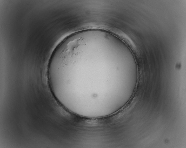 X0000103321182200809261129