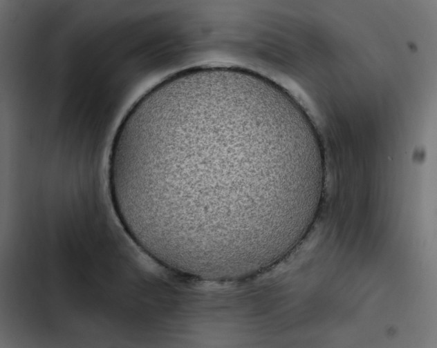 X0000103321183200809261129