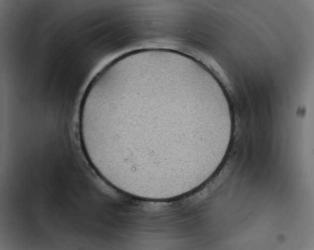 X0000103321184200809261129