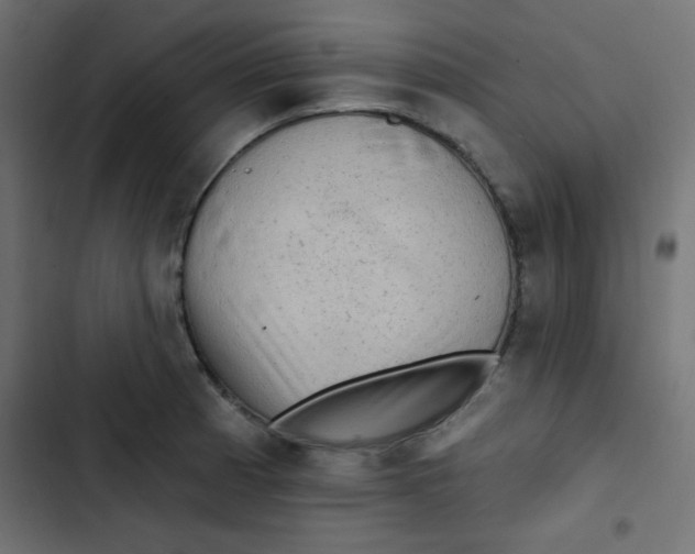 X0000103321185200809261129