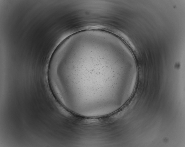 X0000103321186200809261129