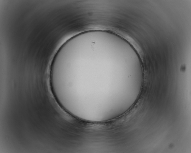 X0000103321187200809261129