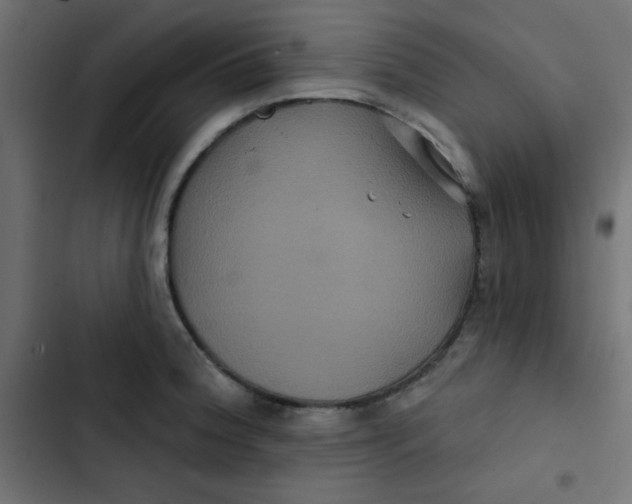 X0000103321188200809261129