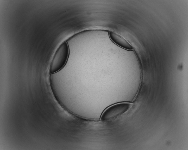 X0000103321189200809261129