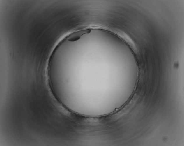 X0000103321190200809261129