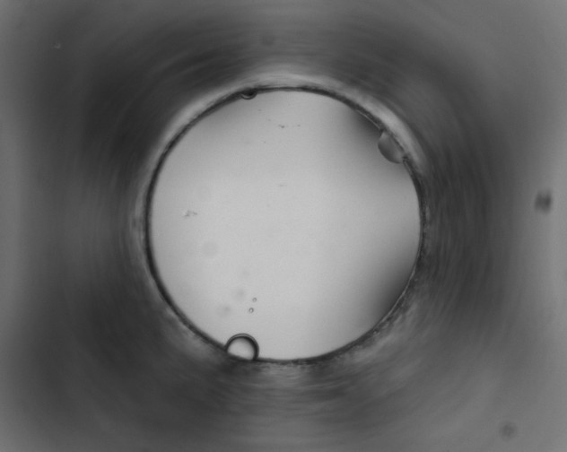 X0000103321191200809261129