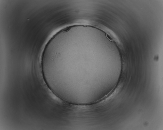 X0000103321192200809261129