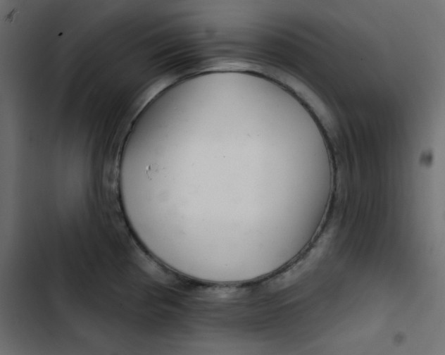 X0000103321193200809261129