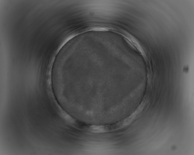 X0000103321194200809261129