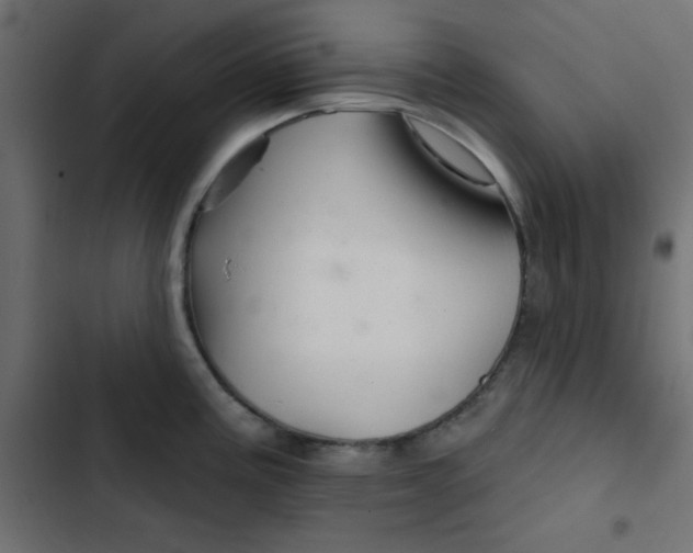 X0000103321195200809261129