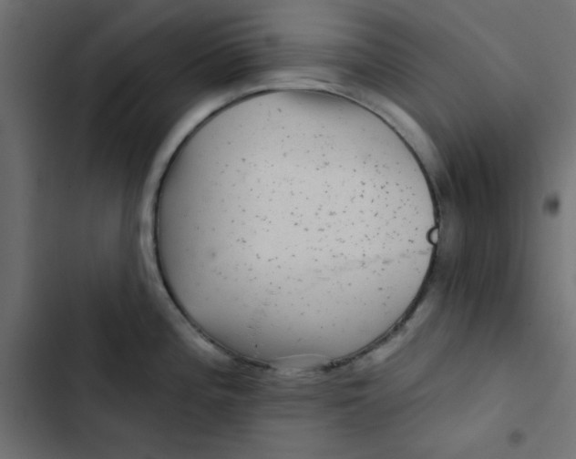 X0000103321196200809261129