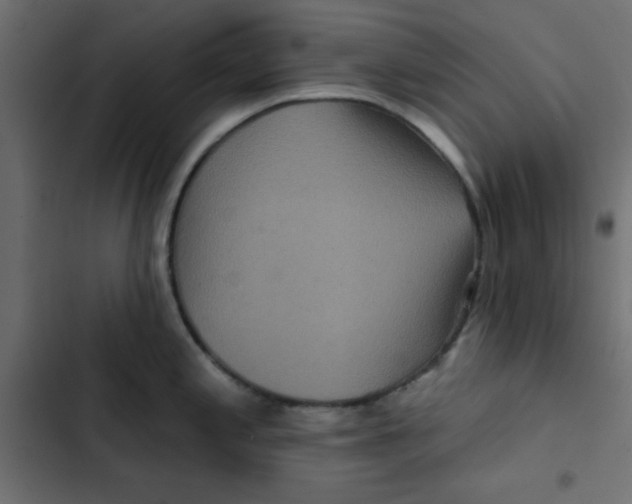 X0000103321197200809261129