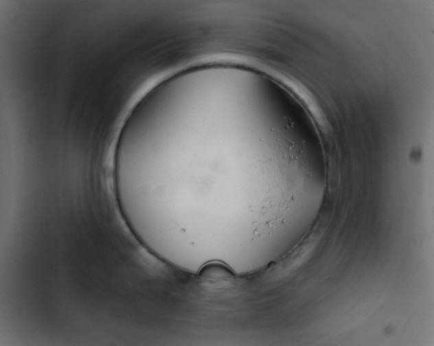 X0000103321199200809261129