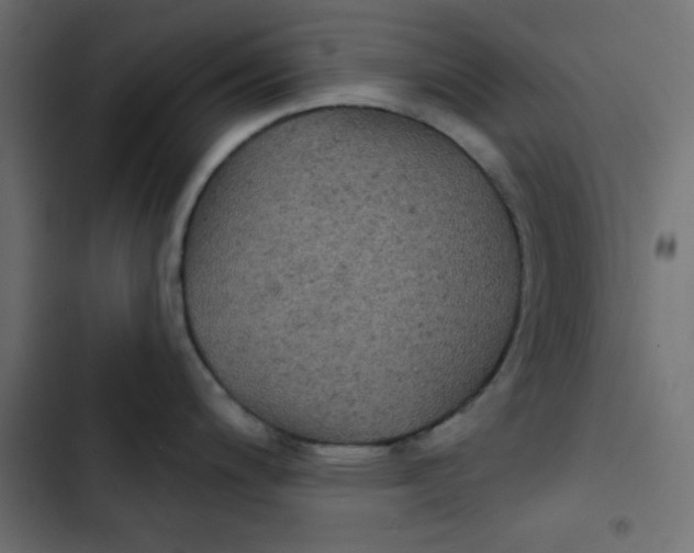 X0000103321200200809261129