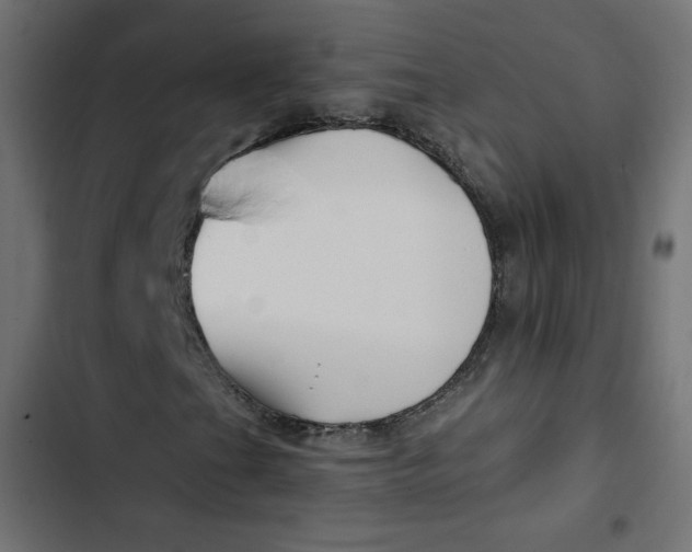 X0000103321201200809261128