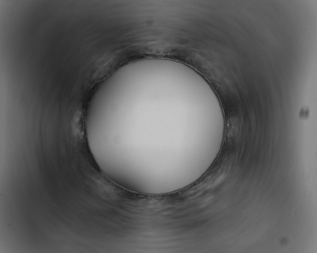 X0000103321202200809261128