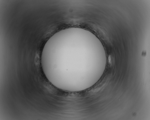 X0000103321203200809261128