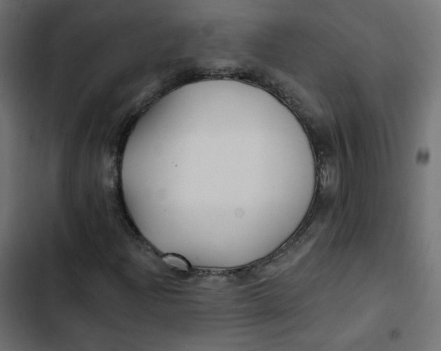 X0000103321204200809261128