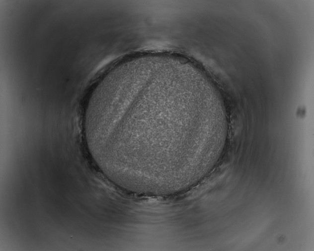 X0000103321206200809261128