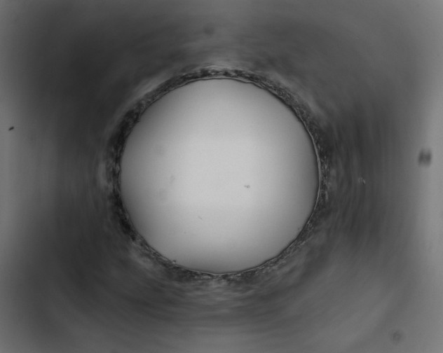 X0000103321207200809261128