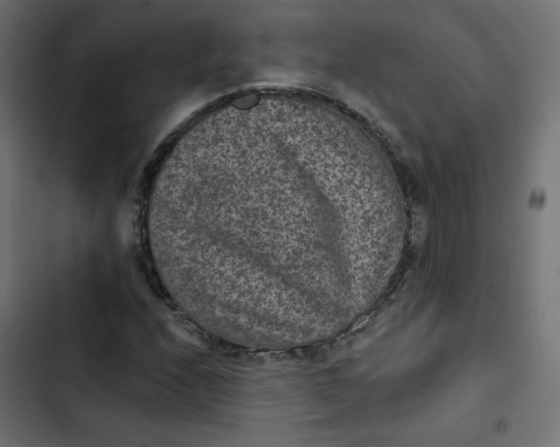 X0000103321208200809261128