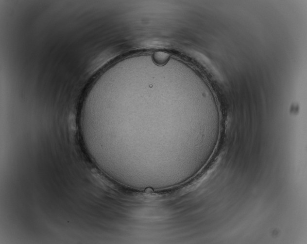 X0000103321209200809261128