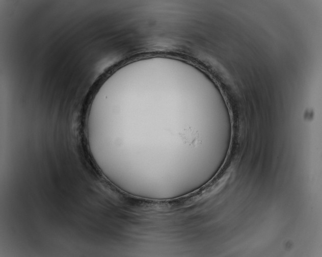 X0000103321210200809261128