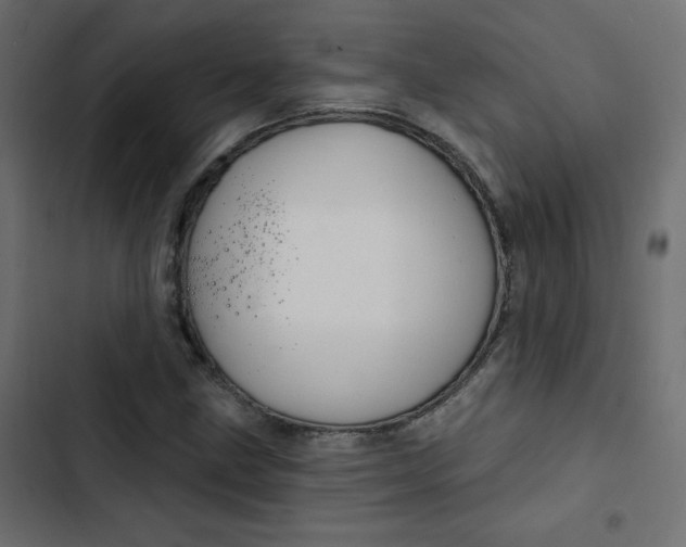 X0000103321211200809261128