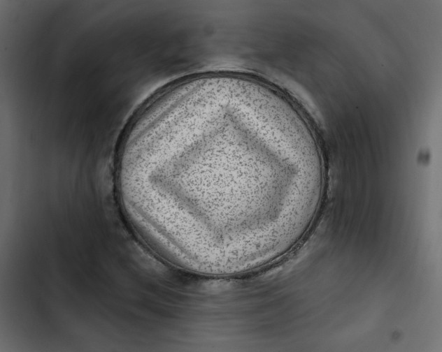 X0000103321212200809261128