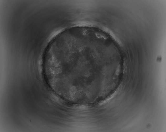 X0000103321213200809261128