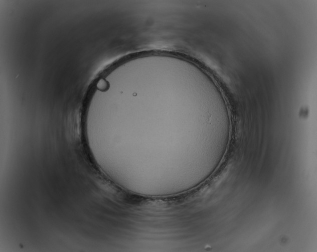 X0000103321214200809261128