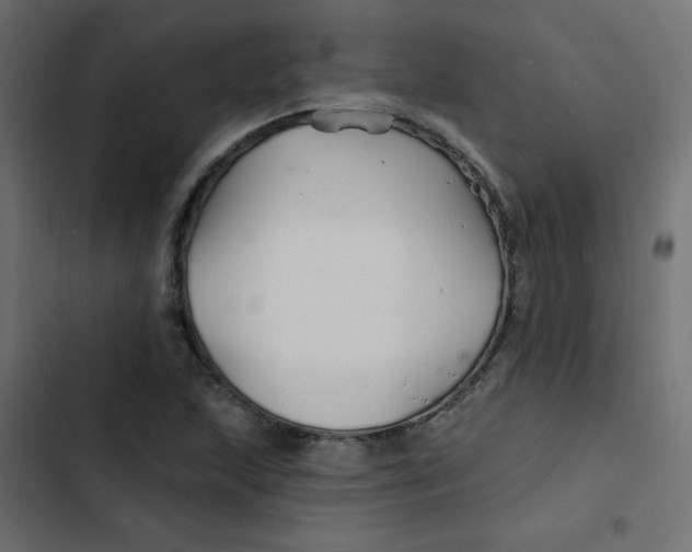 X0000103321215200809261128