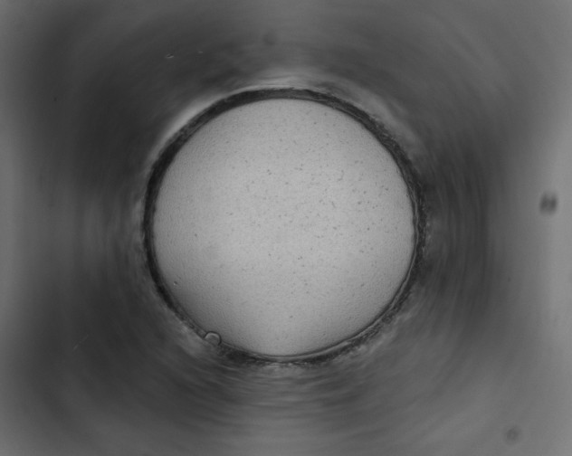 X0000103321216200809261128