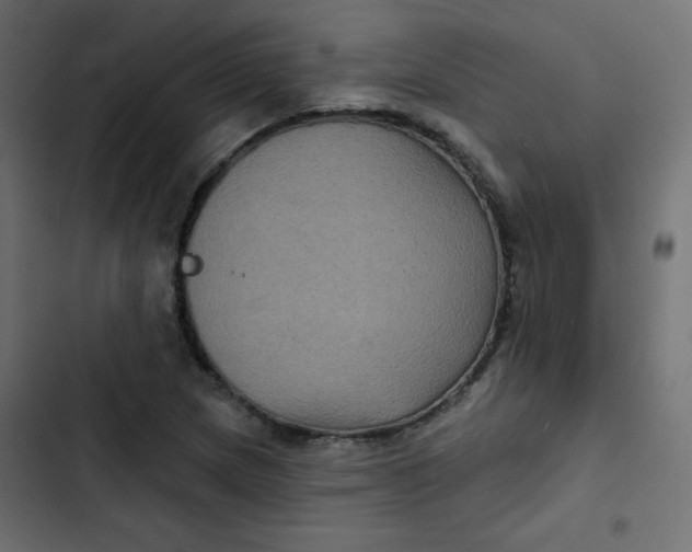 X0000103321217200809261128