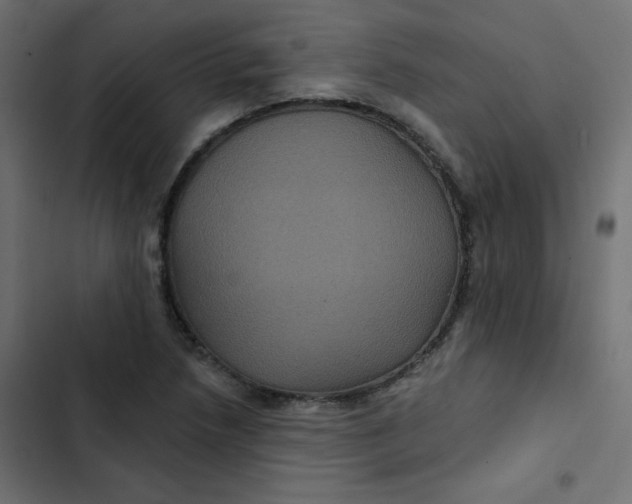 X0000103321218200809261128