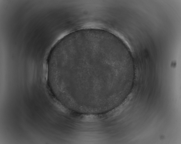 X0000103321219200809261128