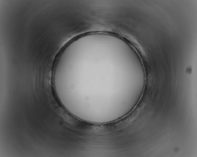 X0000103321220200809261128