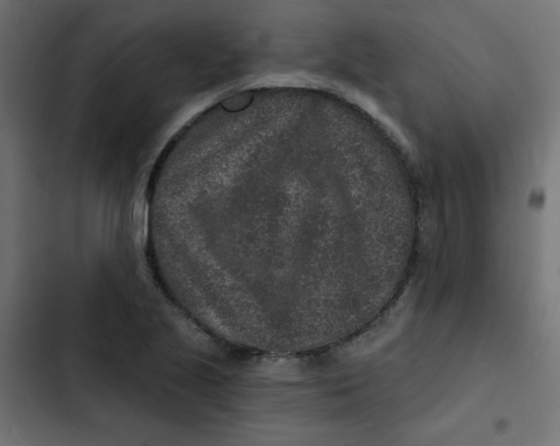 X0000103321221200809261128