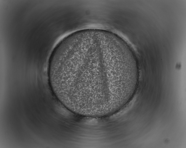 X0000103321222200809261128