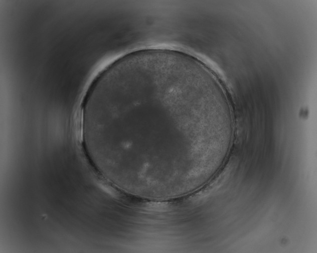 X0000103321223200809261128