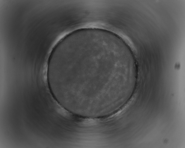 X0000103321224200809261128