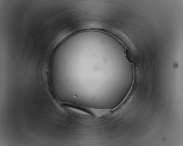 X0000103321225200809261128