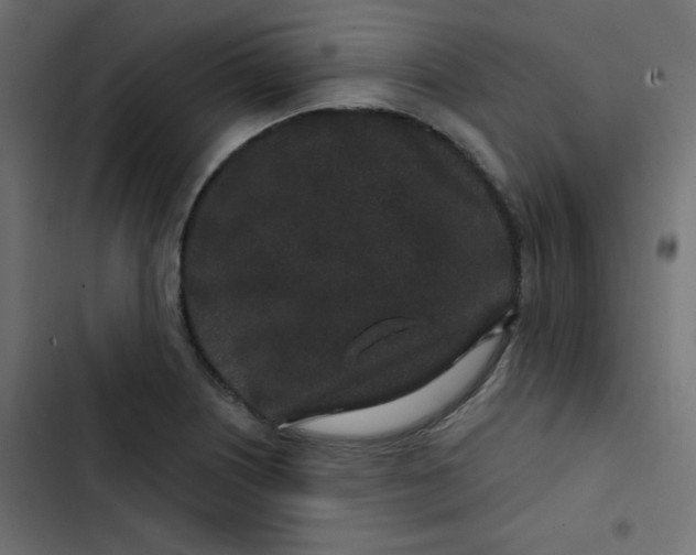 X0000103321226200809261128