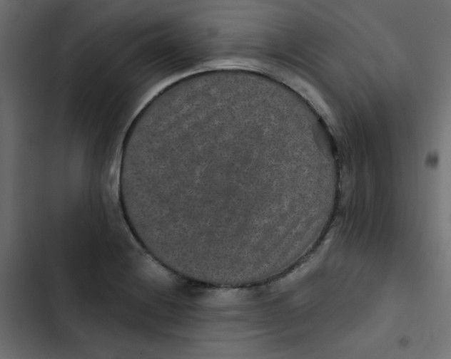 X0000103321228200809261128