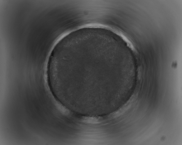 X0000103321229200809261128