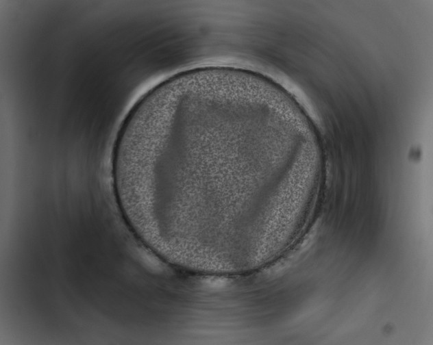 X0000103321230200809261128